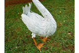 Huge White Metal Swan Garden Ornament Outdoor Or Indoor 116 cm High