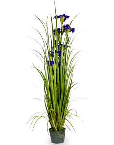 Artificial Ornamental Iris in Galvanised Pot Faux Botanical 155 cm Tall