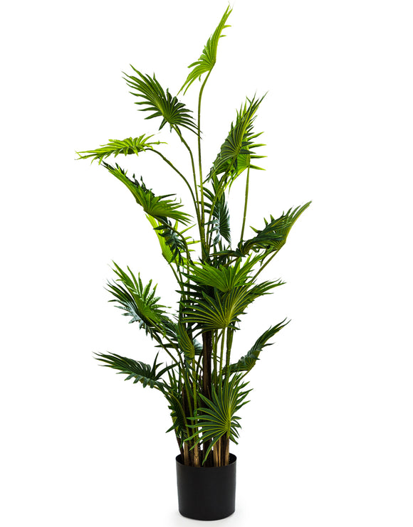 Large Artificial Plant Fan Palm in Black Pot Faux Botanical 145 cm Tall - Due April 2021