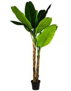 Extra Large Artificial Plant Banana Tree in Black Pot Faux Botanical 210 cm Tall
