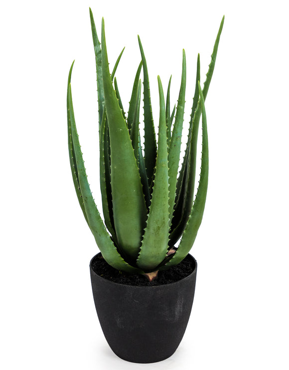 Large Artificial Plant Aloe Vera in Black Pot Faux Botanical 55 cm Tall