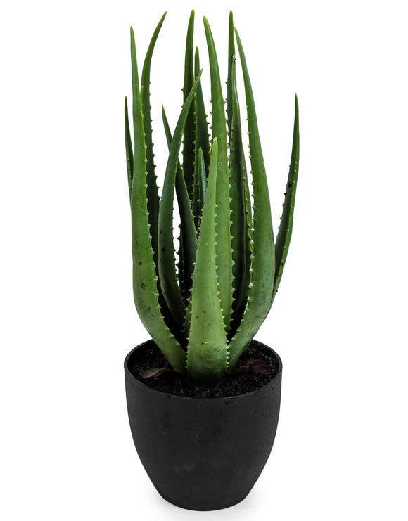 Large Artificial Plant Aloe Vera in Black Pot Faux Botanical 70 cm Tall