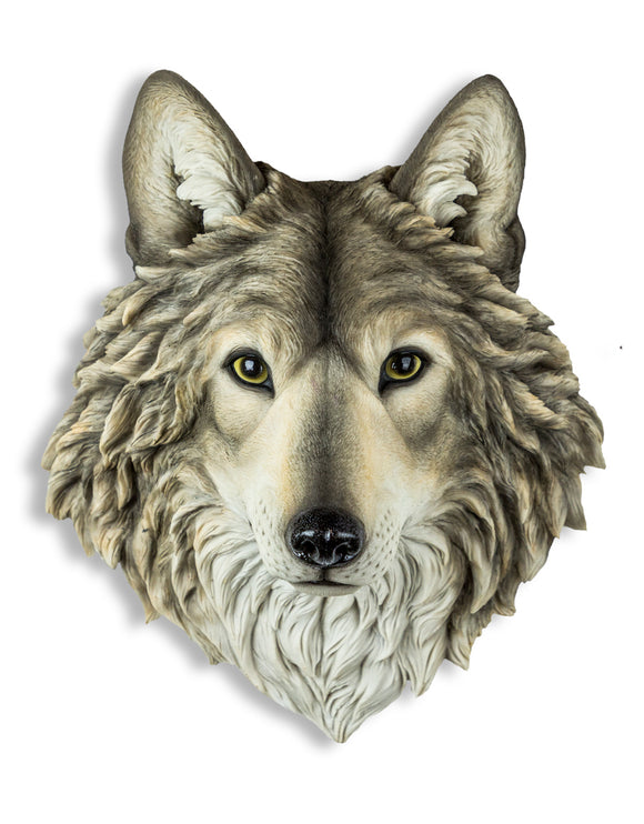 Fabulous Grey Wolf Head Wall Hanging - 48 cm High X 39 cm Wide X 28 cm Deep