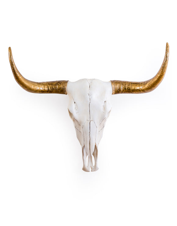 Fabulous Extra Large Bison Skull Wall Hanging - White With Gold Horns