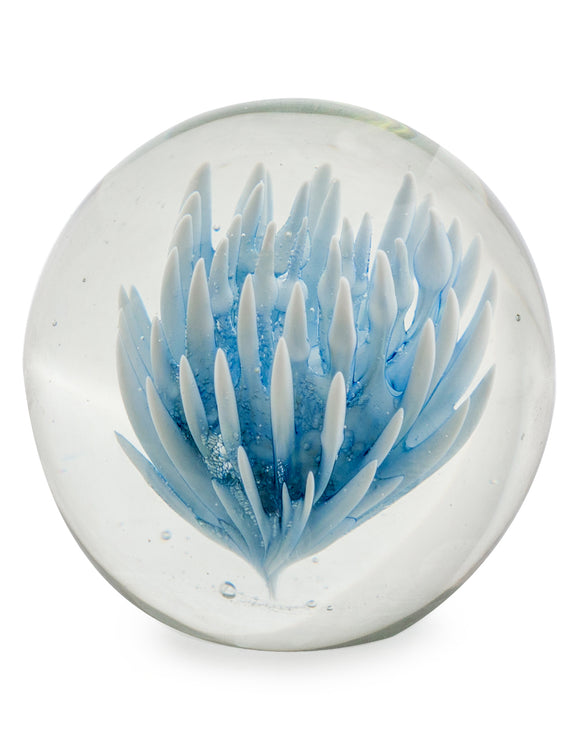 Hand Blown Blue & White Flower Glass Paperweight with Gift Box 9 cm High x 10 cm Diameter