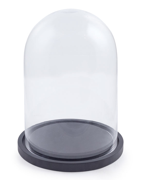 Round Glass Display Bell Jar Dome Cloche Black Wooden Base 41 x 27 x 27 cm