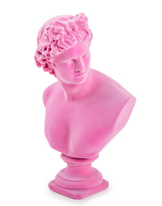 Flocked Classical Apollo Bust | Pink 30 cm High - Due May