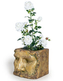 Large Antiqued Gold Stone Effect Classical Face Planter 45 x 36 x  35 cm