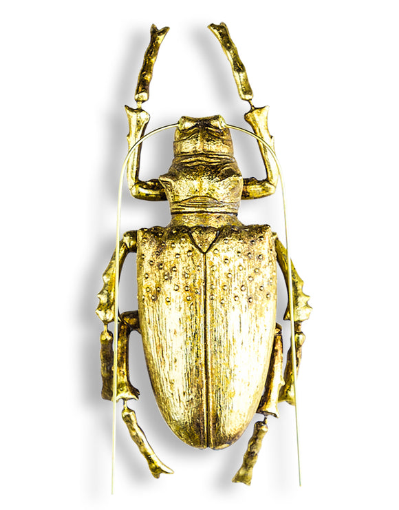 Large Gold Beetle Wall Hanging Sculpture 37.5 cm High x 13.5 cm Wide x 6 cm Deep