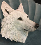 Fabulous White Wolf Head Wall Hanging - 48 cm High X 39 cm Wide X 28 cm Deep